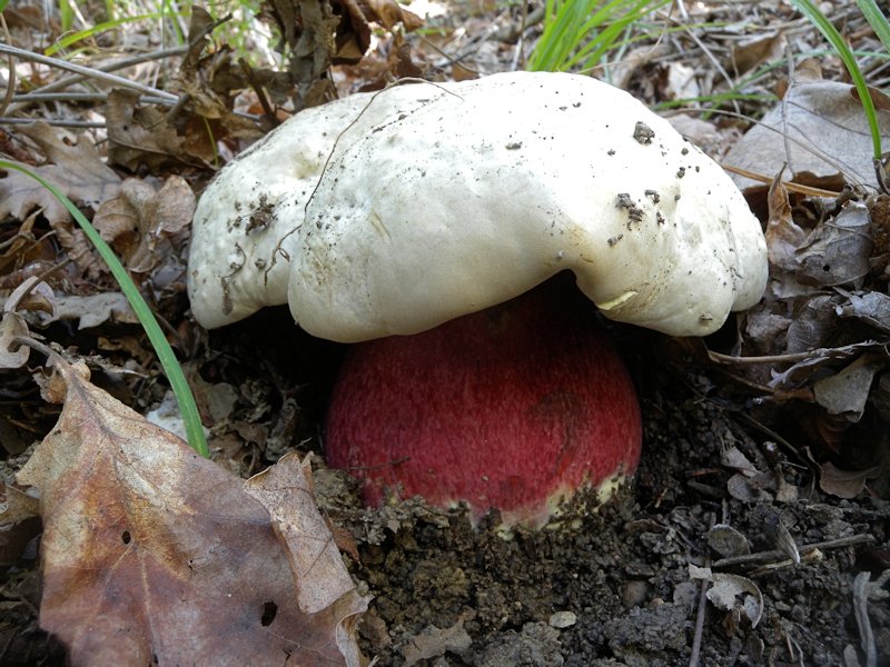 Forse l''ultima bellissima giornata..!!